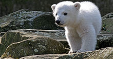 Unser Tierpark GmbH